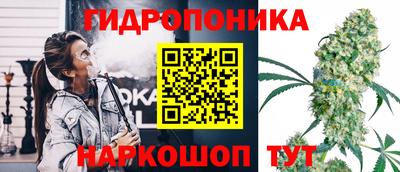 прущие грибы Аргун