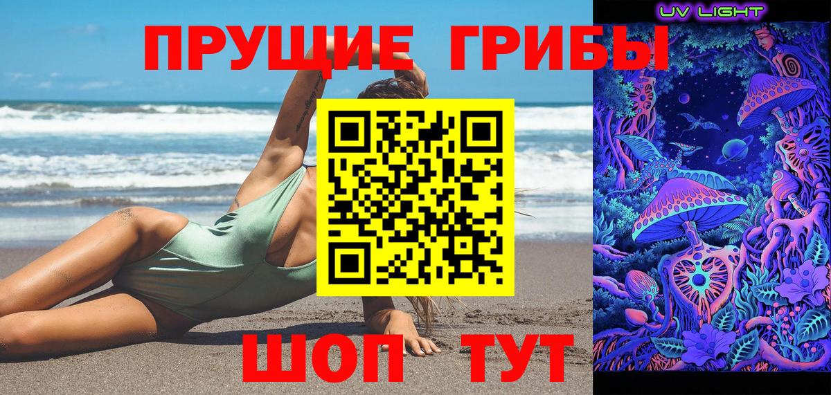 Асино  Псилоцибиновые грибы Magic Shrooms  Вход с VPN 